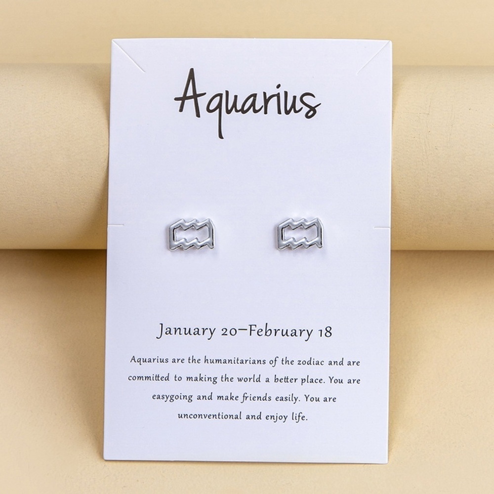*JULANE* Silver Aquarius Fashion Horoscope Earrings